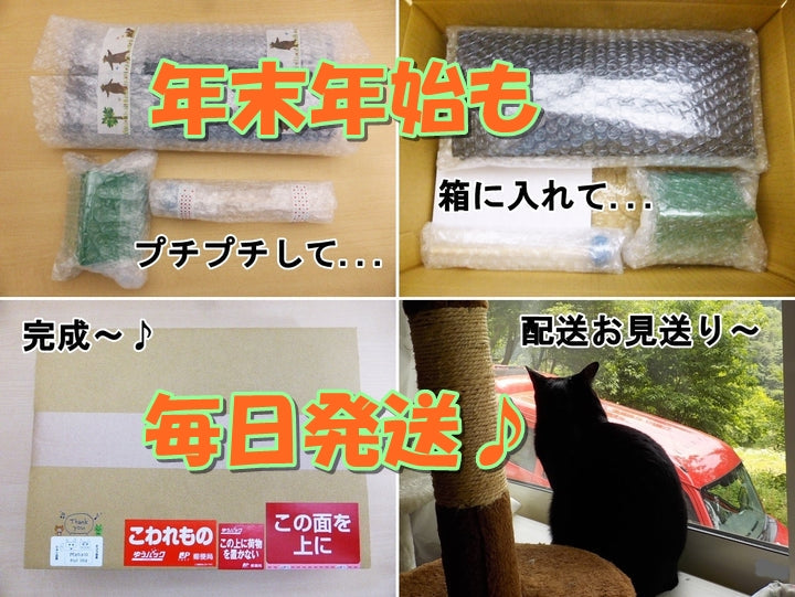 年末年始も休みなく毎日発送しています♪2024/12/23